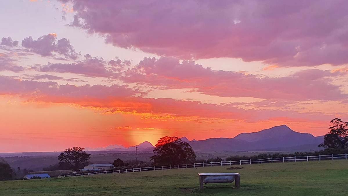 Outeniqua Moon Percheron Stud Farm Ruiterbos Zewnętrze zdjęcie