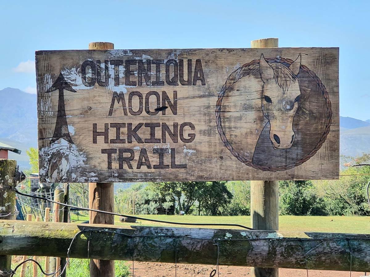 Outeniqua Moon Percheron Stud Farm Ruiterbos Zewnętrze zdjęcie