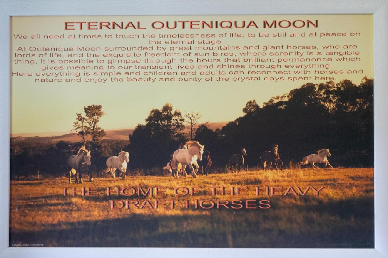 Outeniqua Moon Percheron Stud Farm Ruiterbos Zewnętrze zdjęcie
